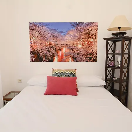 Hotel Kiraz Cicegi Butik Akyaka *