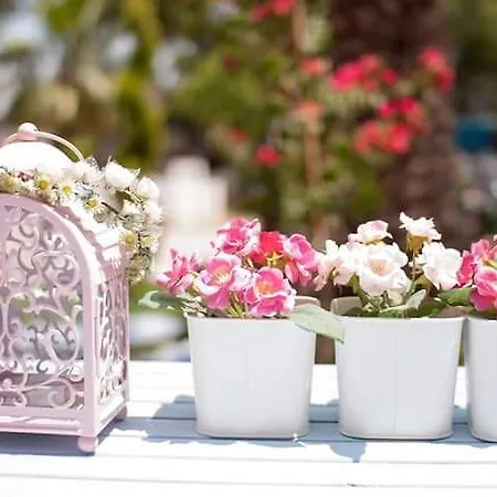 Hotel Kiraz Cicegi Butik Akyaka Akyaka (Mugla)