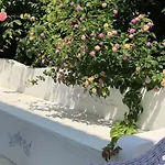 Kiraz Cicegi Butik * اكياكا