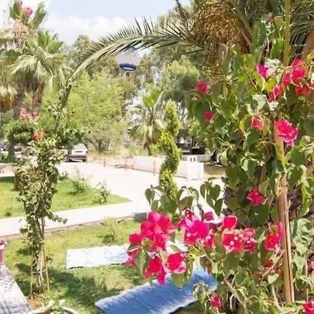 Kiraz Cicegi Butik فندق اكياكا