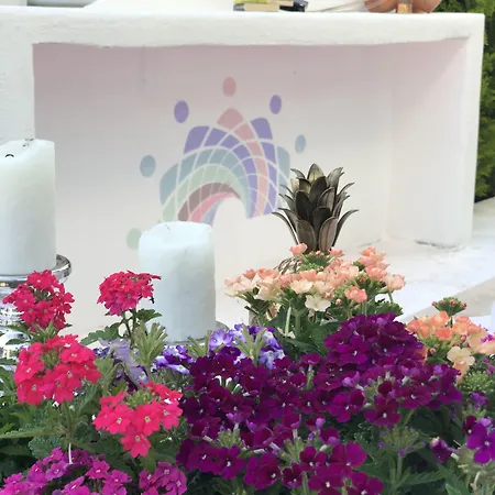 Kiraz Cicegi Butik * Akyaka (Mugla)