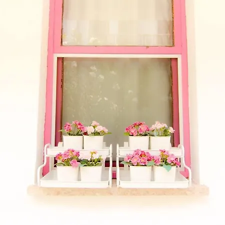 Kiraz Cicegi Butik