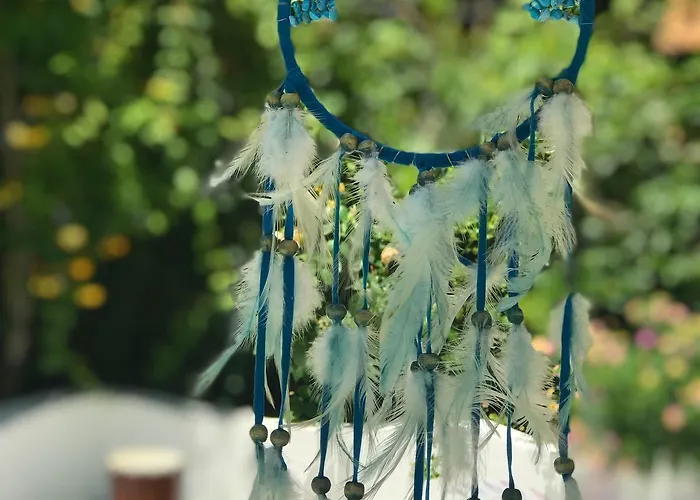 Kiraz Cicegi Butik Akyaka