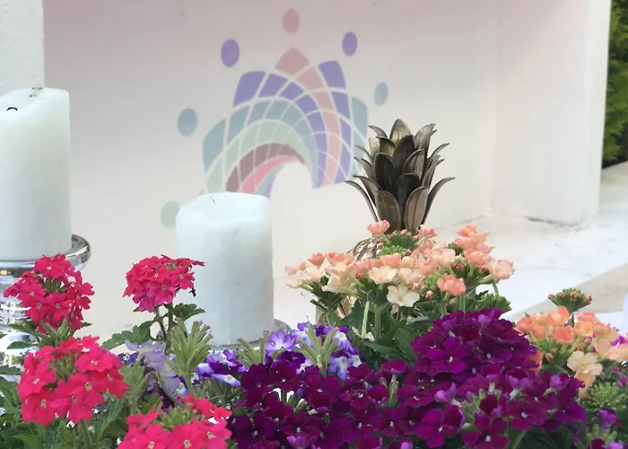 Kiraz Cicegi Butik * Akyaka