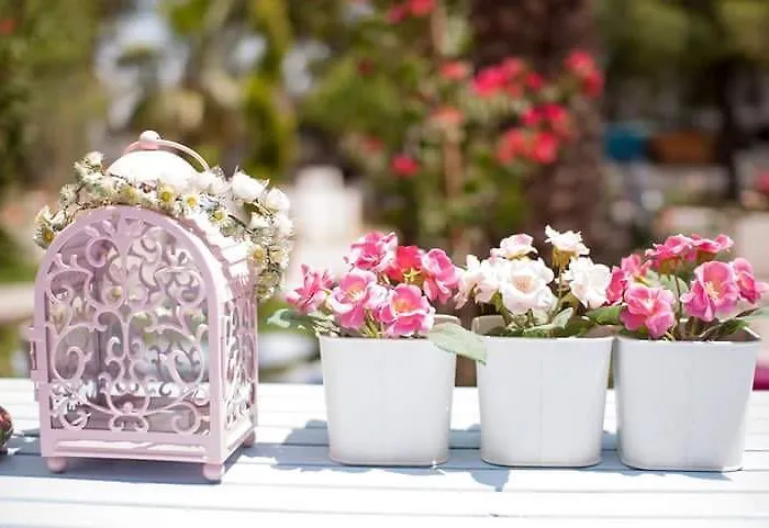 Szálloda Kiraz Cicegi Butik Akyaka